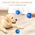 Petgravity Dog Bouncing Ball - Image 3