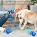 Petgravity Dog Bouncing Ball - Image 5