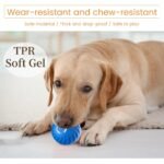 Petgravity Dog Bouncing Ball - Image 6