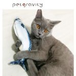 PetGravity Flopping Fish Cat Toy - Image 5