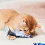 Petgravity Small Floppy Fish 3 Pack - Image 3