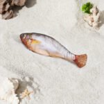 Petgravity Small Floppy Fish 3 Pack - Image 8
