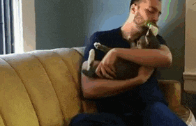 6 Why Do Cats Lick Me? Is It Because They Love Me That Much?