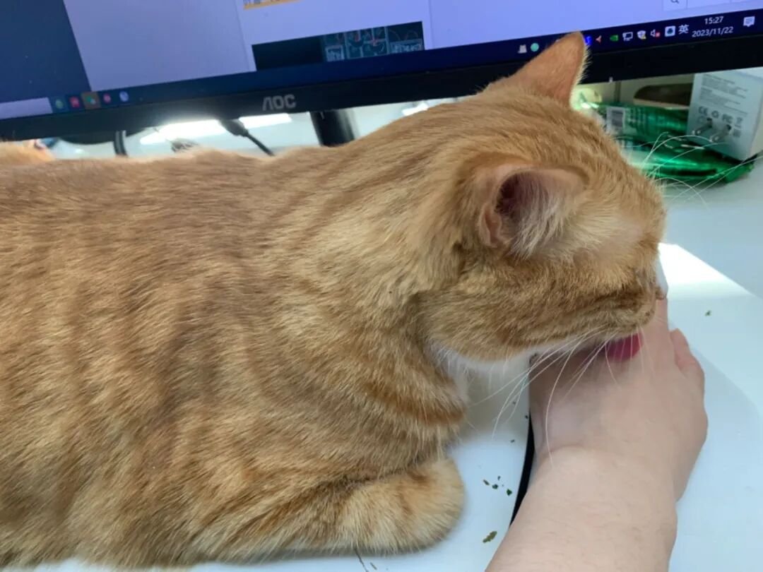 1 Why Do Cats Lick Me? Is It Because They Love Me That Much?